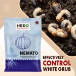 HEDO Nemato (Paecilomyces Lilacinus 1.0% WP) Bio Pesticide, Effective Against White Grubs And Other Harmful Soil Pathogens - Image 4