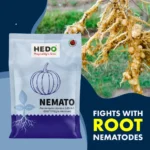 HEDO Nemato (Paecilomyces Lilacinus 1.0% WP) Bio Pesticide, Effective Against White Grubs And Other Harmful Soil Pathogens - Image 2